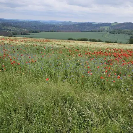 Ferienhaus-wurzbach Wurzbach