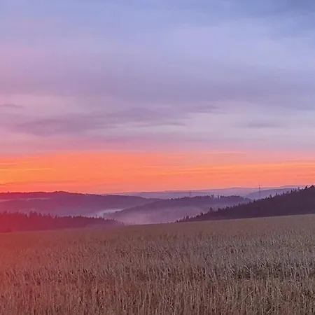 Ferienhaus-wurzbach *