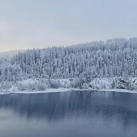 Ferienhaus-wurzbach Σπίτι διακοπών *