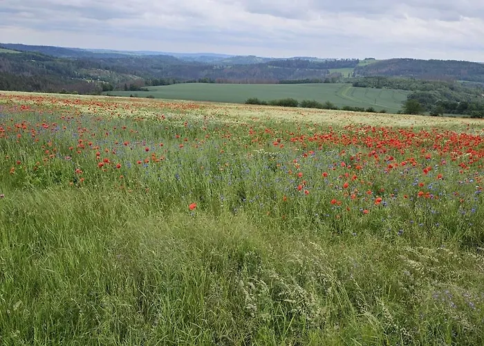Ferienhaus-wurzbach Wurzbach