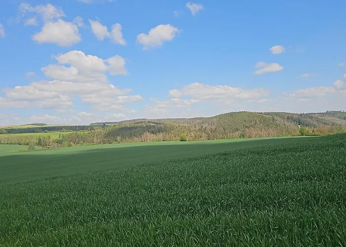 Casa de Férias Ferienhaus-wurzbach Wurzbach