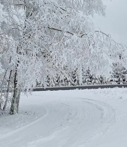 Ferienhaus-wurzbach Wurzbach