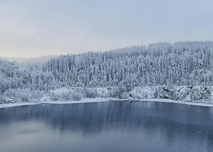 Ferienhaus-wurzbach Casa de Férias *